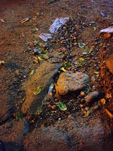 石头，树叶，灰尘，这是我们地球的美丽。图片下载