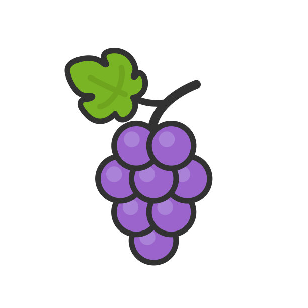 葡萄图标。葡萄藤叶。图片下载