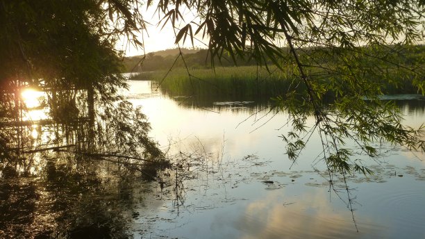 风景与日落，并与云和树的倒影在河里的水图片下载