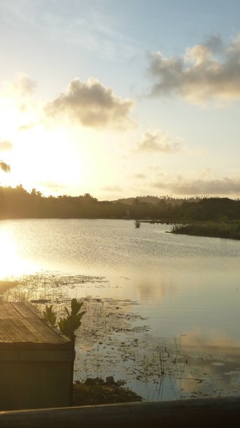 风景与日落，并与云和树的倒影在河里的水图片下载