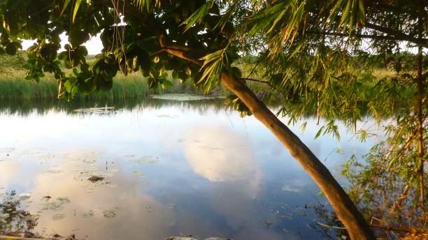 风景与日落，并与云和树的倒影在河里的水图片下载