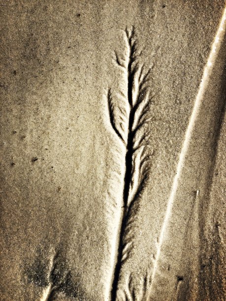 有机雕塑浮雕在沙子图片下载