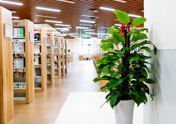 现代公共图书馆的书架图片下载