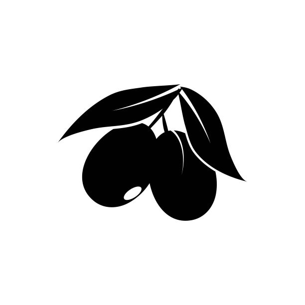 橄榄色图标矢量插图图片下载