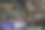 办公大楼在晚上燃烧的窗户。办公室里人们的工作。城市夜景观图片下载