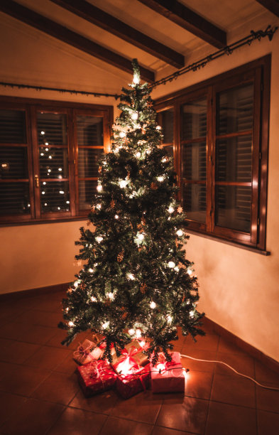 圣诞树和礼物在家里图片下载