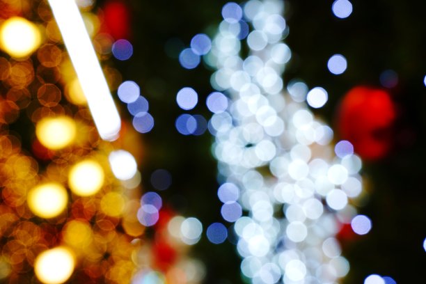 圣诞树上的彩灯图片下载