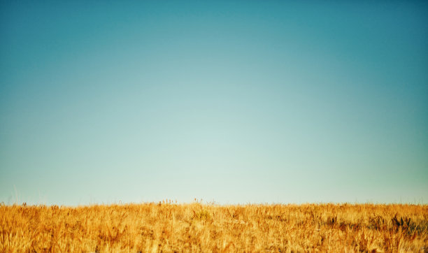 湛蓝的天空和田野背景图片下载