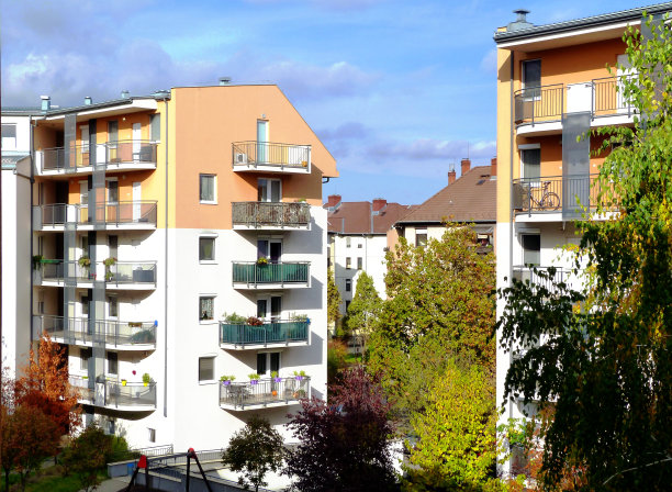 庭院中点缀着明黄色和绿色的树木图片下载