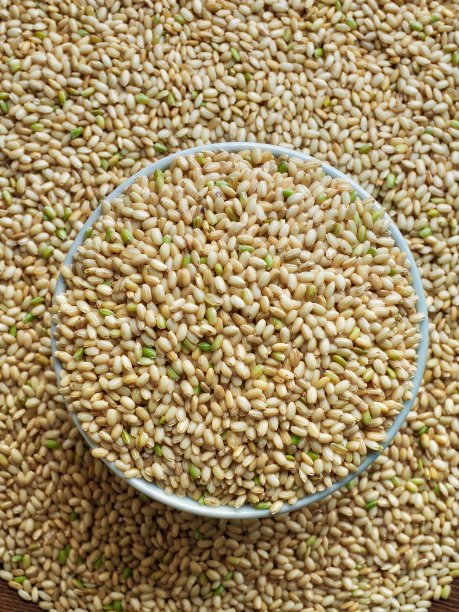 韩国的有机糙米图片下载