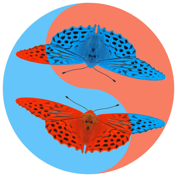 花象征阴阳。蝴蝶。几何图案的阴阳符号，从植物的彩色背景在东方风格。阴阳符号来自蝴蝶。曼荼罗的花卉插图图片下载