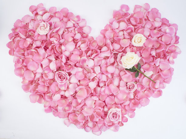 粉色玫瑰花瓣心形浪漫花框，用于情人节卡片和婚礼设计图片下载