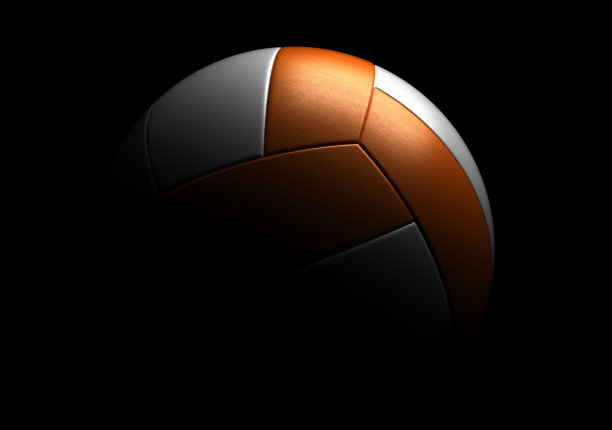 一个排球图片下载