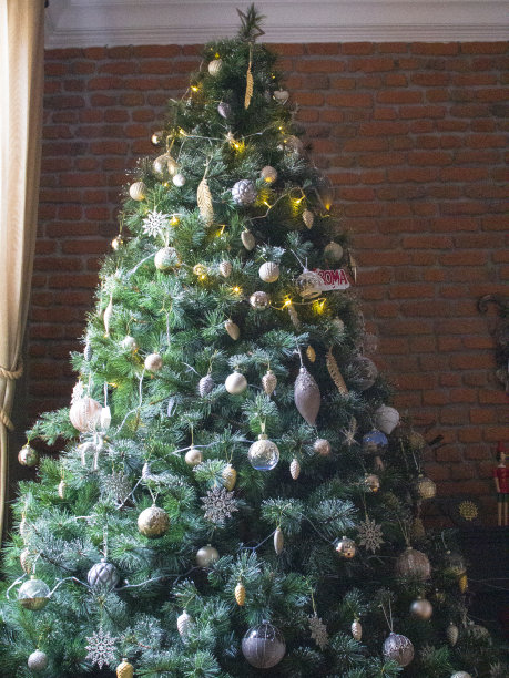 圣诞节的松树图片下载