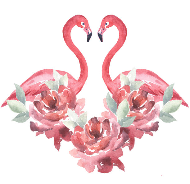 Peonies.Roses。粉红色的火烈鸟。水彩画插图的心牡丹和火烈鸟在一个白色的背景。图片下载