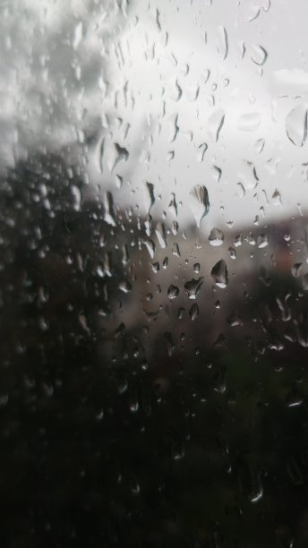 水滴露珠雨窗图片下载