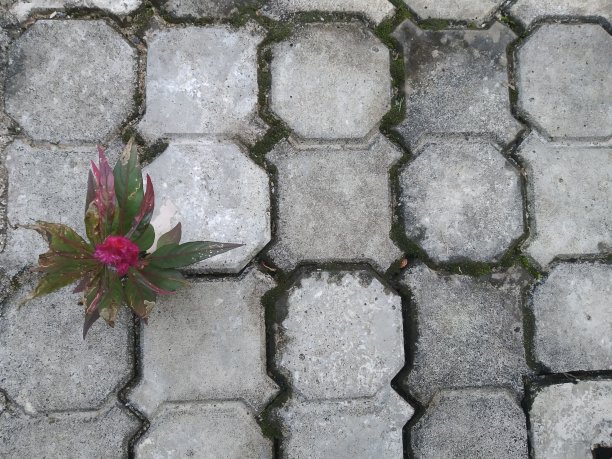 水泥地面上的厂房图片下载