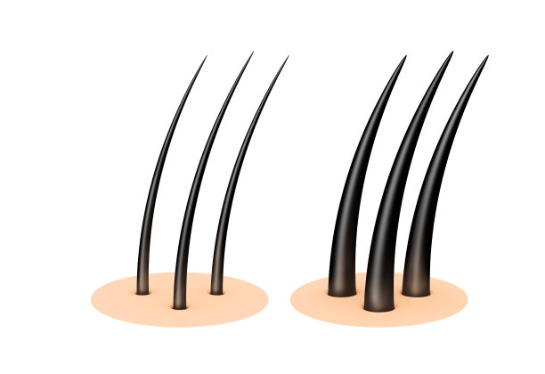 人的头皮。图片下载