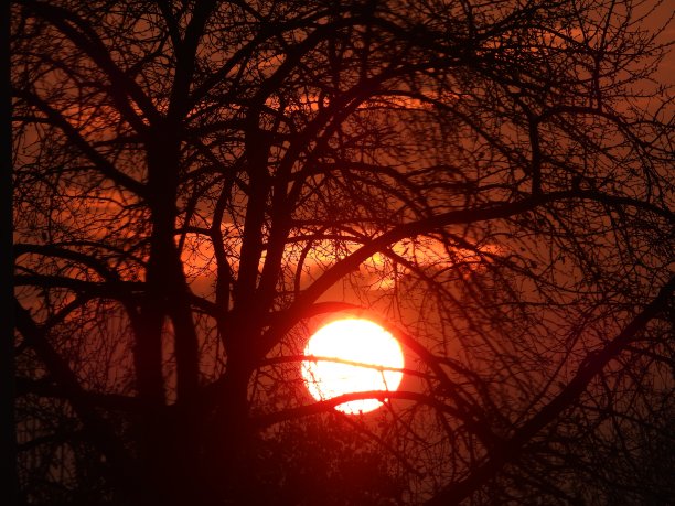 日落时的大太阳图片下载