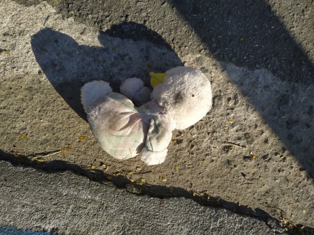 熊老了，脏兮兮的，扔在街上图片下载