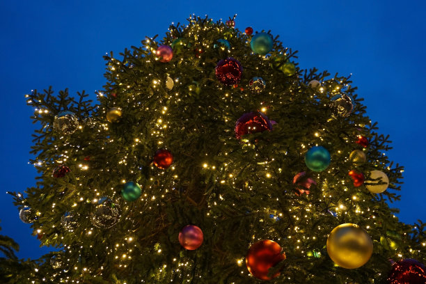 一棵装饰好的大圣诞树图片下载