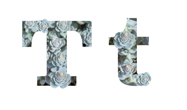 小写字母T和大写字母在白色背景上隔离。英文字母灰银饰图片下载