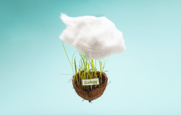 可视化概念的生态地球，环境保护和生命对地球的依赖。椰子皮里的绿色毒药图片下载