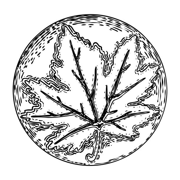 优雅复古的圆形花卉装饰，古典风格。圆形东方花元素的图案。圆形灰泥天花板造型玫瑰花形。向量。图片下载