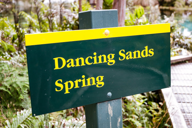 跳舞的沙子泉标志Te Waikoropupu Springs, Pupu Springs, Golden Bay, New Zealand:晶莹剔透的水从地下的地下泉井流到这个中央溢出的蓝色湖泊与美丽的绿色景观图片下载