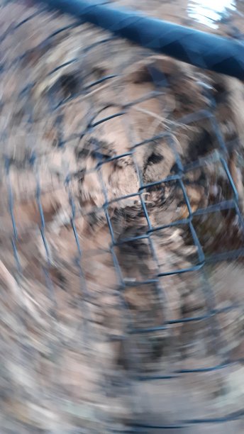 在运动图片下载