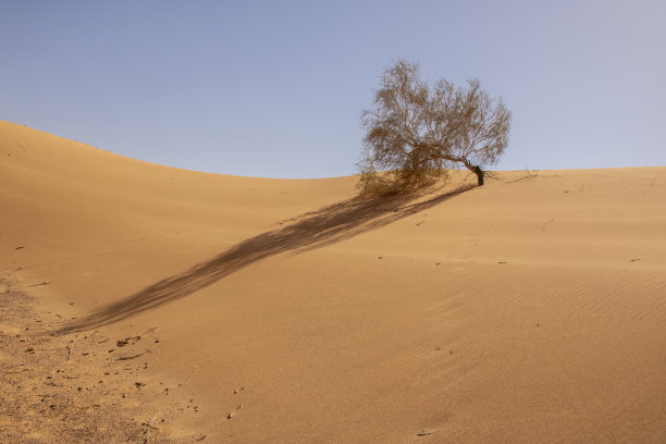 阿拉巴谷地图片下载