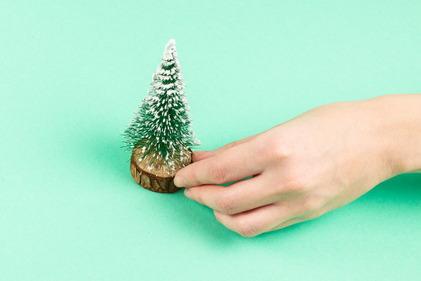 小圣诞树在女人的手在一个绿色的背景。图片下载