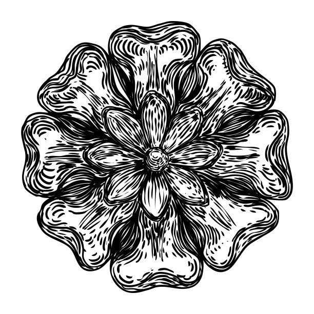 巴洛克古复古风格的圆形花卉设计元素。大理石玫瑰图案为时尚的图案在黑色白色的纺织品，围巾，背景。向量。图片下载