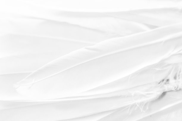 美丽的抽象颜色白色羽毛在多彩的背景和柔软的白色粉红色羽毛纹理在白色图案图片下载