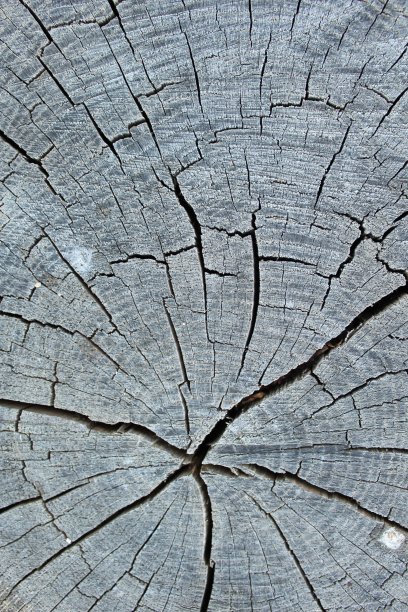 木制背景。图片下载