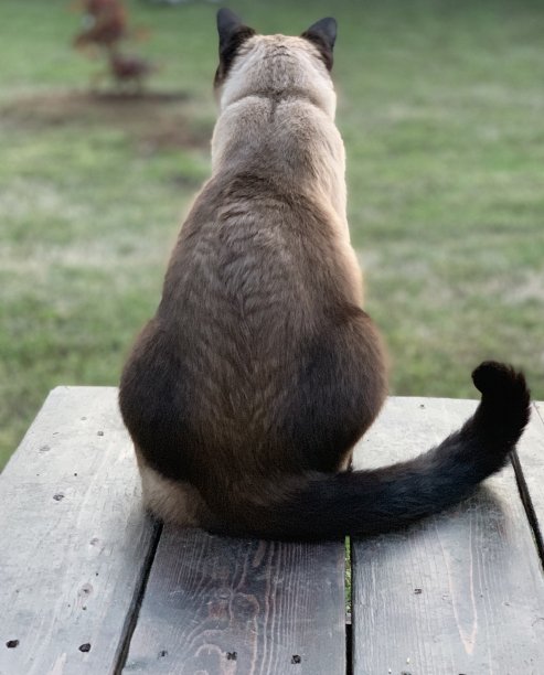 把目光移开图片下载