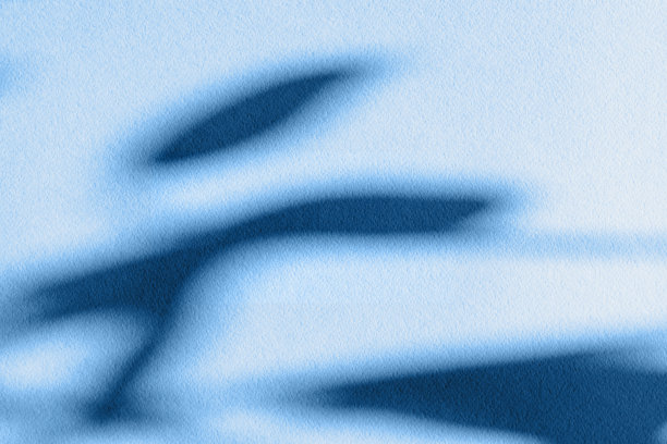 经典的蓝色阴影的树叶榕树在轻纸背景。带有阴影的抽象构图。艰难的阳光。最小的概念与树枝的树。创意copyspace。图片下载