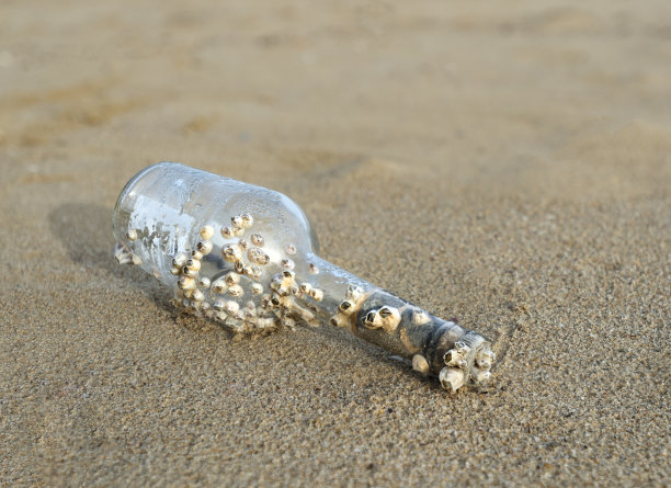 沙子里的一个旧瓶子图片下载