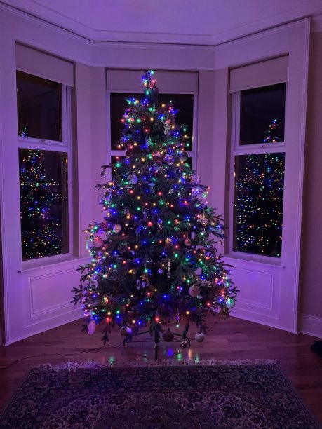 维多利亚飘窗和圣诞树图片下载