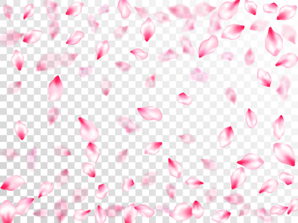 春花独瓣飞图片下载