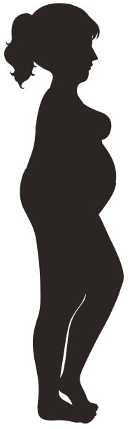 白色背景上超重妇女的剪影图片下载