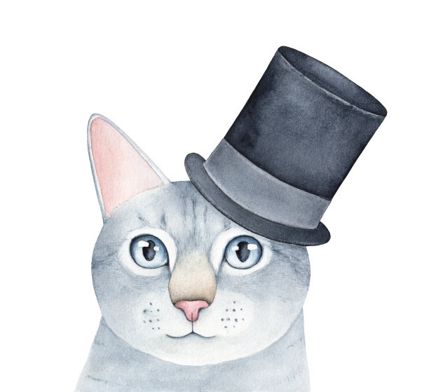 水彩画灰色条纹虎斑猫人物戴黑色节日礼帽。手绘水彩图形上的白色背景，切割剪辑艺术元素的设计装饰。图片下载