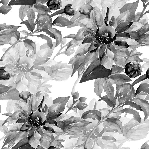 大丽花分支图片下载