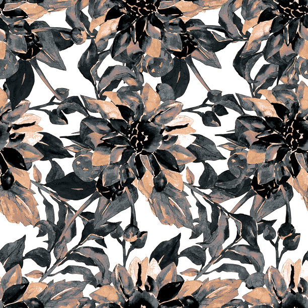 大丽花分支图片下载