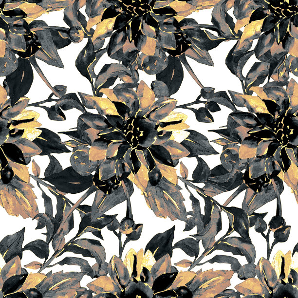 大丽花分支图片下载