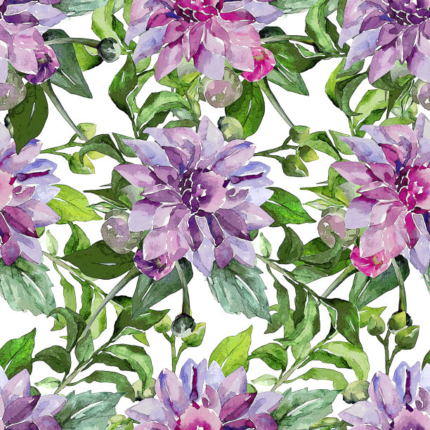 大丽花分支图片下载