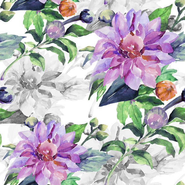 大丽花分支图片下载