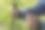 双手拄着拐杖，老妇人在清新的空气中积极地参与体育运动图片下载