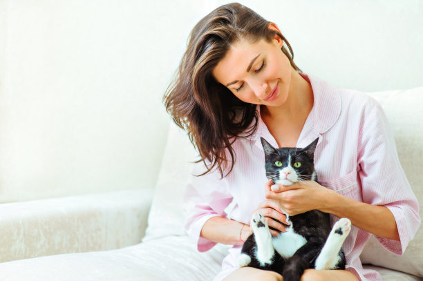 女人和可爱的猫。坐在明亮房间背景的沙发上图片下载