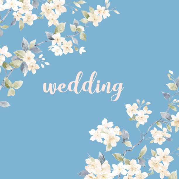 水彩花卉元素的组合图片下载